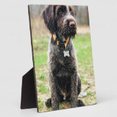 黒髪の指しグリフォンの子犬 フォトプラーク (側面)