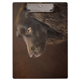 黒髪の犬 クリップボード