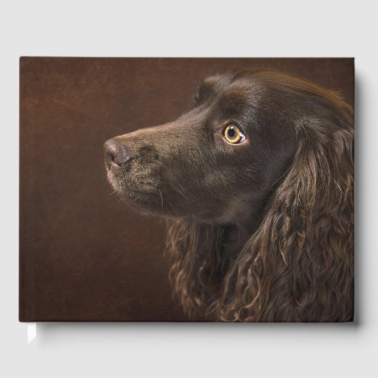 黒髪の犬 ゲストブック (正面)