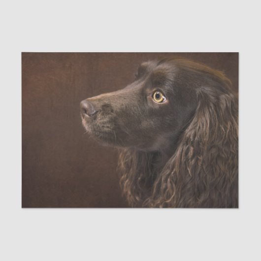 黒髪の犬 薄葉紙 (正面)