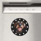 黒髪ダシュントの星 マグネット (インサイチュ (食洗機))