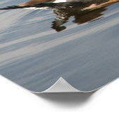 黒髭のウイスリングアヒル ポスター (角)