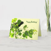 黒鳥誕生日 カード (正面)