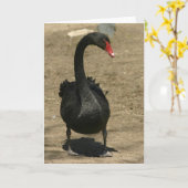 黒鳥 カード (黄色い花)