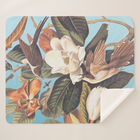 黒鳥 シェルパブランケット (正面(横))