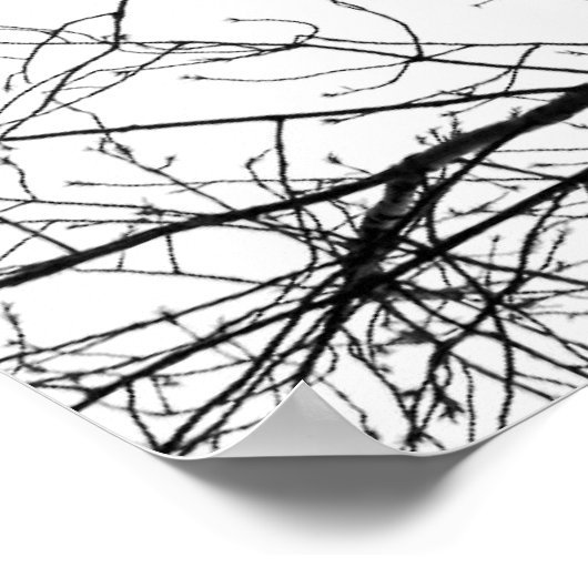 黒鳥 ポスター (角)