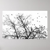 黒鳥 ポスター (正面)