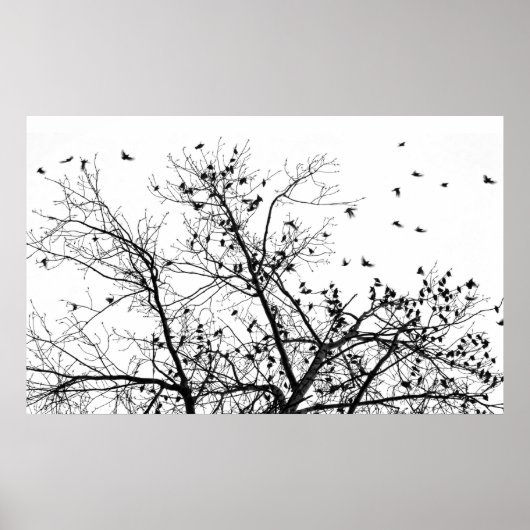 黒鳥 ポスター (正面)