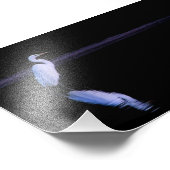 黒鷺の反射 フォトプリント            (角)