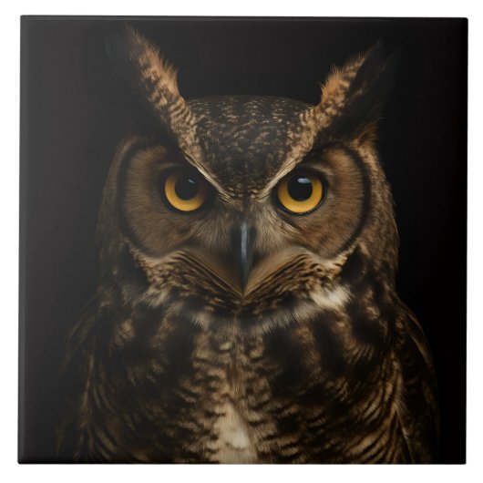 黒4ラグジュアリータイル(金目付き) タイル (正面)