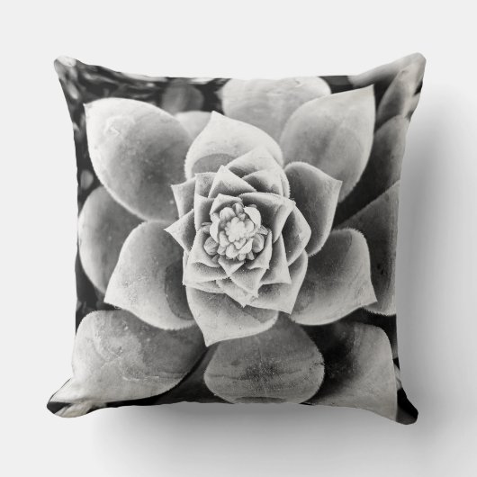 黒&白の多肉植物装飾用クッション クッション (正面)