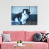 黒+白の子猫 キャンバスプリント (インサイチュ (リビング))