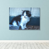 黒+白の子猫 キャンバスプリント (インサイチュ (ウッドフロア))