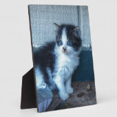 黒+白の子猫 フォトプラーク (側面)