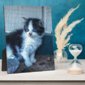 黒+白の子猫 フォトプラーク (側面)