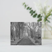 黒/白の森 ポストカード (スタンド正面)