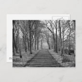 黒/白の森 ポストカード (正面/裏面)