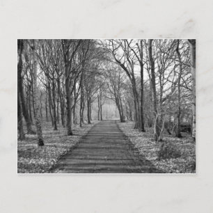 黒/白の森 ポストカード