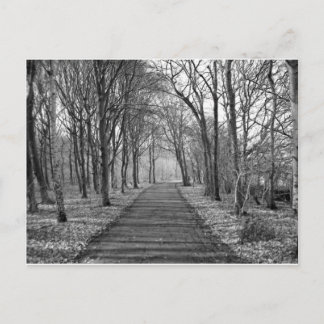 黒/白の森 ポストカード