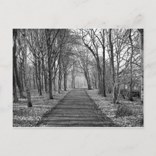 黒/白の森 ポストカード (正面)