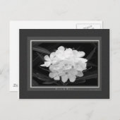 黒&白 ポストカード (正面/裏面)
