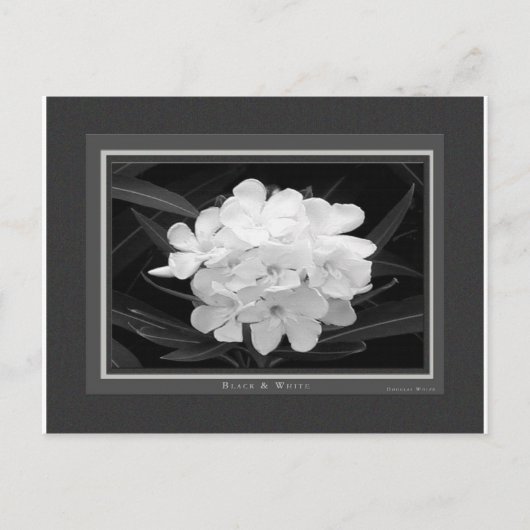 黒&白 ポストカード (正面)
