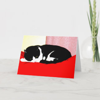 黒、白、赤 カード