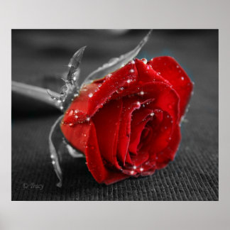 黒/白/赤 ポスター