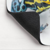 黒、黄、青の毒ダーツカエル マウスパッド (コーナー)