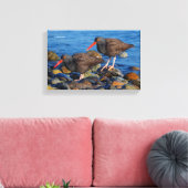 黒Oystercatcherはい、黒Oystercatcher Do キャンバスプリント (インサイチュ (リビング))