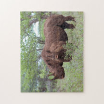 黒Rhinoふくらはぎ