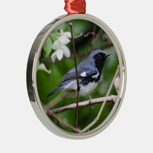 黒throated青いアメリカムシクイ メタルオーナメント (右)