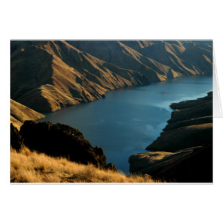 黙したヘビ: 12月の川