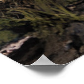 黙示録の後の破壊 |破棄された建物 ポスター (角)