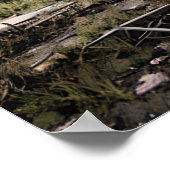 黙示録の後の破壊 |破棄された建物 ポスター (角)