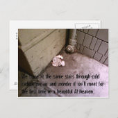 黙示録後のポストカード#7 Friends ポストカード (正面/裏面)