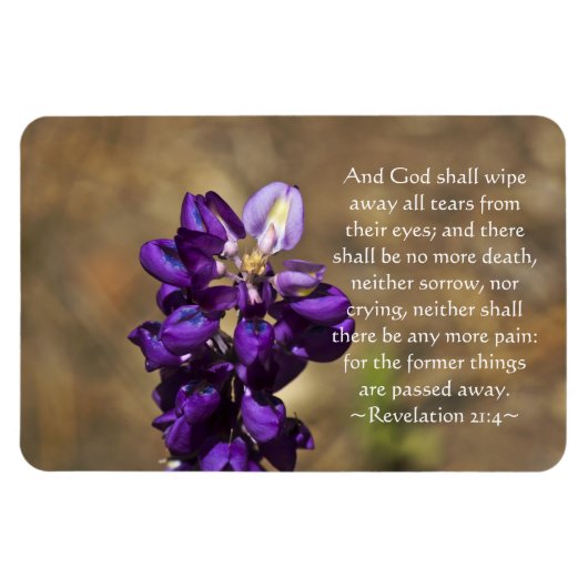 黙示録21:4 マグネット (横)