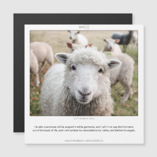 黙示録3:5 GODS PROMISE SCRIPIXマグネットカード マグネット招待状