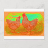 黙示録 ポストカード (正面)