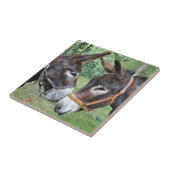 鼻に触れているろば タイル (側面)