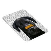 鼻に骨がある黒いラブラドール マグネット (右側)