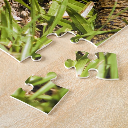 鼻のフロリダ先の尖った長いSoftshellのカメ ジグソーパズル (側面)