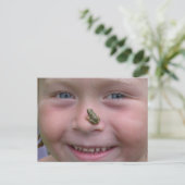 鼻の上のカエル ポストカード (スタンド正面)