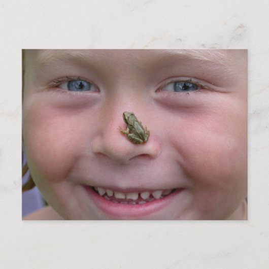 鼻の上のカエル ポストカード (正面)