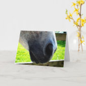 鼻の仕事 カード (黄色い花)