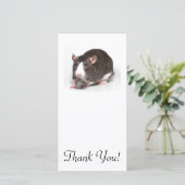 鼻の白い炎を持つドブネズミ サンキューカード (スタンド正面)