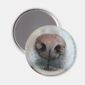 鼻は犬の鼻の磁石を#1知る マグネット (正面/裏面)