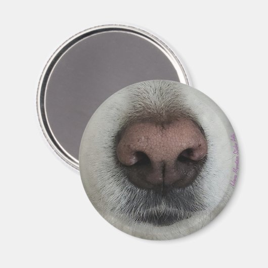 鼻は犬の鼻の磁石を#2知る マグネット (正面/裏面)