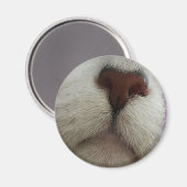 鼻は猫の鼻の磁石を#1知る マグネット (正面/裏面)