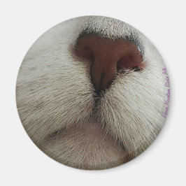 鼻は猫の鼻の磁石を#1知る マグネット